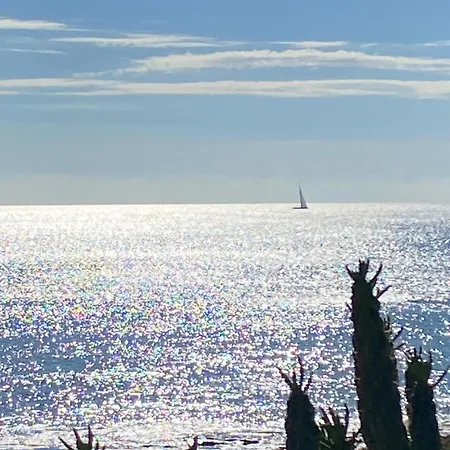 Sunny (adults Only) Torrevieja