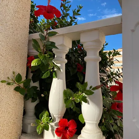 Sunny (adults Only) Apartamento *