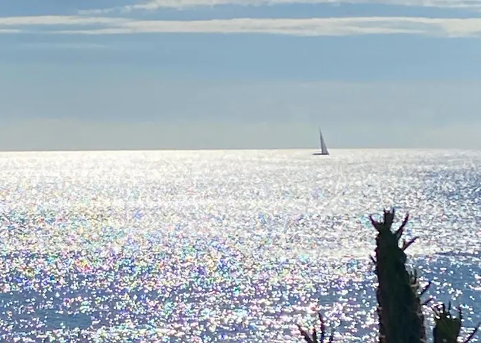 Sunny (adults Only) Torrevieja