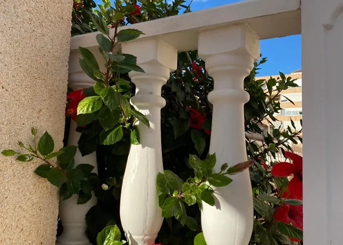 Sunny (adults Only) Apartment *